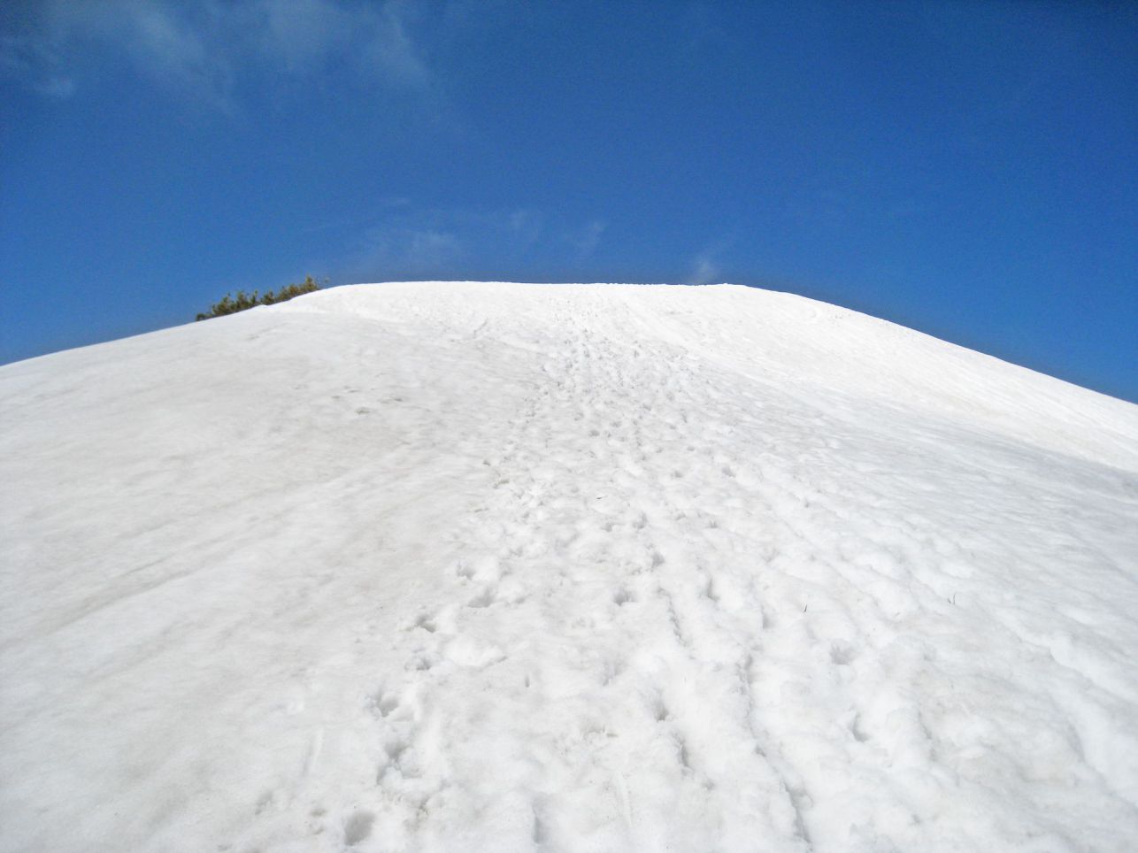 北海道へのスキーツアーの選び方